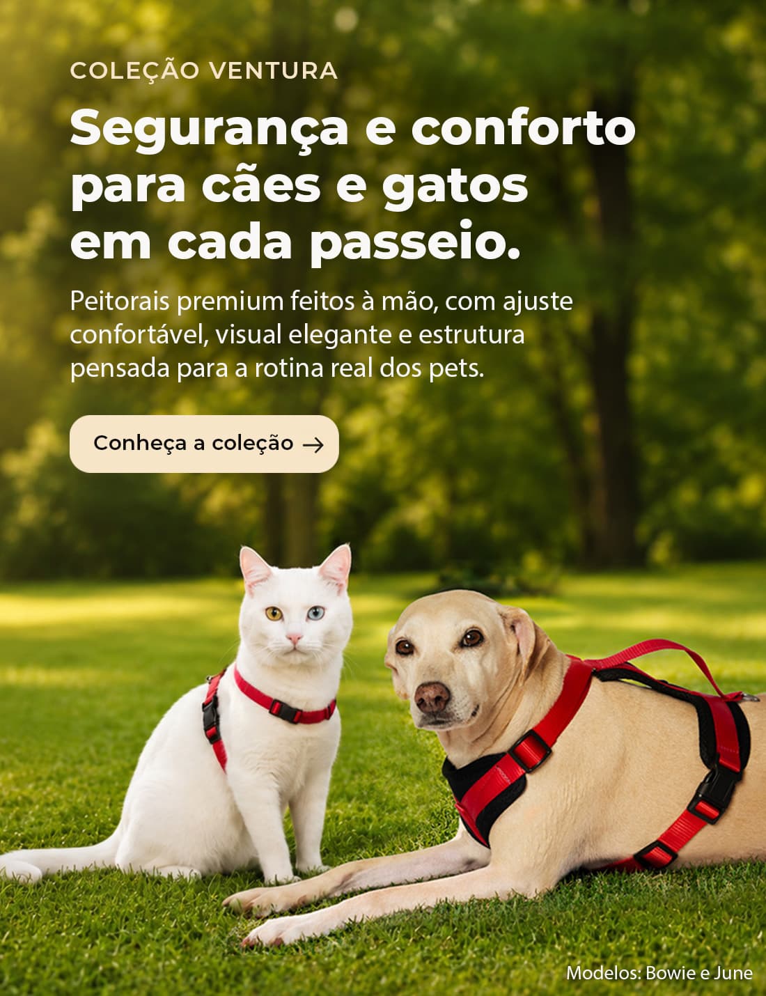 Coleção Ventura — peitorais premium para cães e gatos