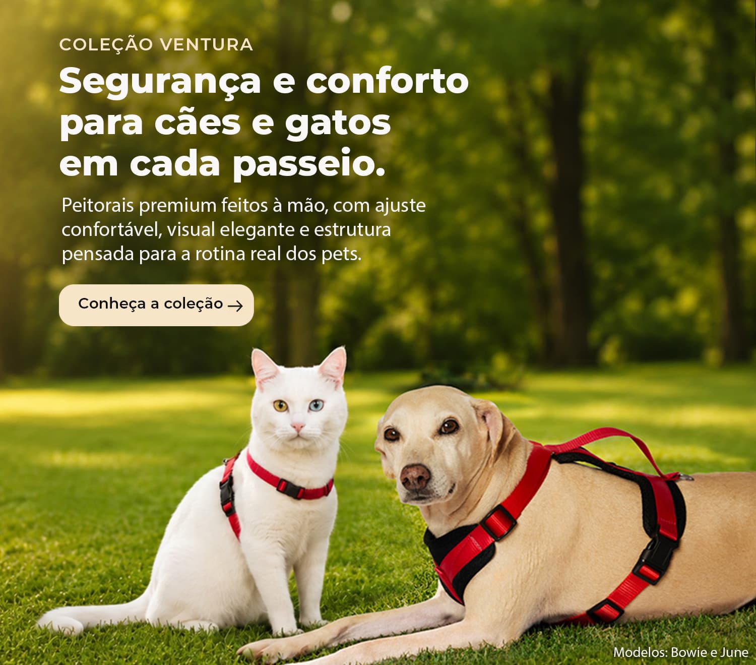Coleção Ventura — peitorais premium para cães e gatos